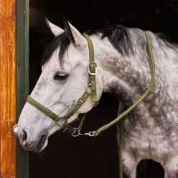 Ensemble licol et longe Chicago Horze Vert cyprès / vert loden