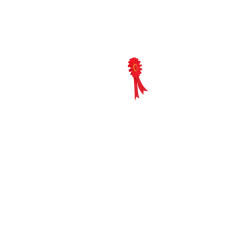 Lot de flot Mini Poney LeMieux