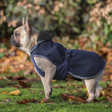 Couverture pour chien Show-Line Bucas Couverture pour chien Show-Line Bucas