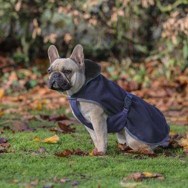 Couverture pour chien Show-Line Bucas Couverture pour chien Show-Line Bucas