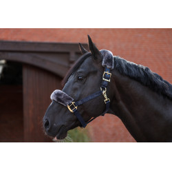 Licol Bucas Show-Line Marine / gris Bleu Licol Bucas Show-Line Marine / gris Bleu