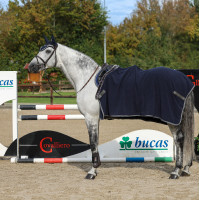 Couverture polaire Show-Line Bucas 600g Marine / gris Couverture polaire Show-Line Bucas 600g Marine / gris