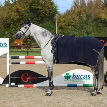 Couverture polaire Show-Line Bucas 600g Couverture polaire Show-Line Bucas 600g