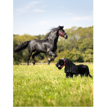 Mini Poney LeMieux Spike Mini Poney LeMieux Spike