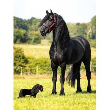 Mini Poney LeMieux Spike Mini Poney LeMieux Spike