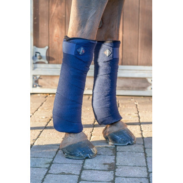 Sous-bandes LeMieux Bambou Sous-bandes LeMieux Bambou