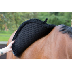 Tapis LeMieux Merino+ Sensitive Skin Euro Jump Square Bleu marine