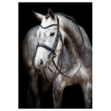Bride Montar Normandie cuir tanné Bride Montar Normandie cuir tanné