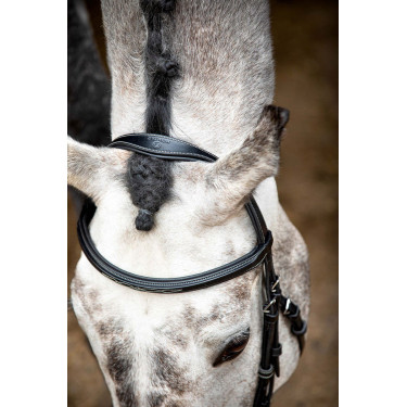 Bridon Montar Hunter Noir