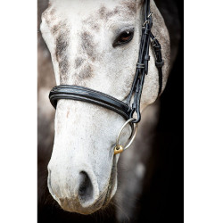 Bridon Montar Hunter Noir