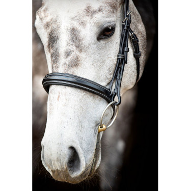 Bridon Montar Hunter Noir
