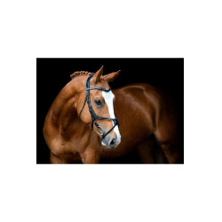 Bridon Montar Lyon 8-Fig cuir tanné Noir