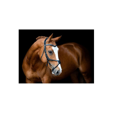 Bridon Montar Lyon 8-Fig cuir tanné Noir