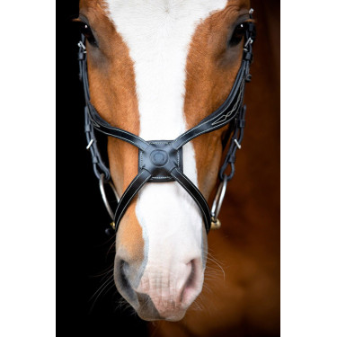 Bridon Montar Lyon 8-Fig cuir tanné Noir