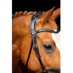Bridon Montar Monarch cuir tanné de manière organique Noir