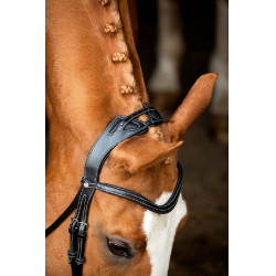 Bridon Montar Monarch cuir tanné de manière organique Noir