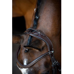 Bridon Montar Monarch cuir tanné de manière organique Marron