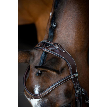 Bridon Montar Monarch cuir tanné de manière organique Marron