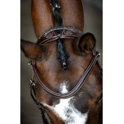 Bridon Montar Monarch cuir tanné de manière organique Marron