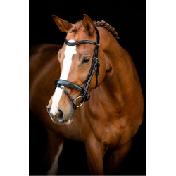 Bridon Montar Normandie cuir tanné Noir