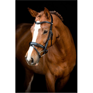 Bridon Montar Normandie cuir tanné Bridon Montar Normandie cuir tanné