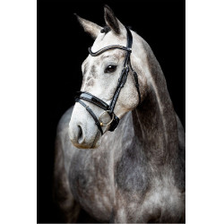 Bridon Montar Normandie Deluxe cuir tanné Noir