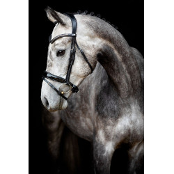 Bridon Montar Normandie Deluxe cuir tanné Noir