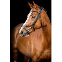 Bridon Montar US Excellence Adapt cuir tanné Noir