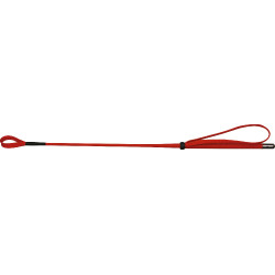 Cravache Whip & Go 53 cm