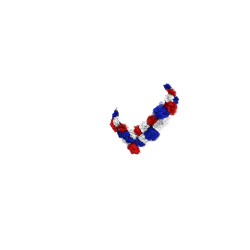 Couronne de fleur Toy Pony LeMieux Couronne de fleur Toy Pony LeMieux