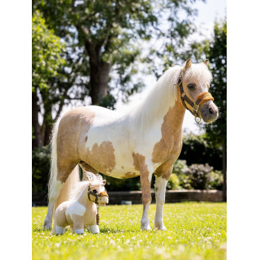 Mini Poney LeMieux Lemon Mini Poney LeMieux Lemon