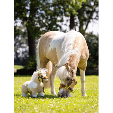Mini Poney LeMieux Lemon Mini Poney LeMieux Lemon