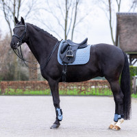 Tapis de selle HV Polo Essential Dressage Brume bleue foncé