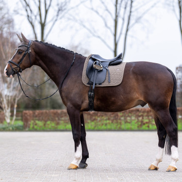 Tapis de selle HV Polo Essential Dressage Tapis de selle HV Polo Essential Dressage