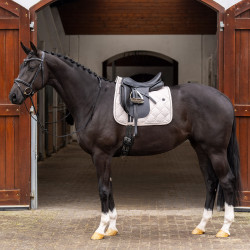 Tapis de selle HV Polo Dana Dressage Naturel Marron Tapis de selle HV Polo Dana Dressage Naturel Marron