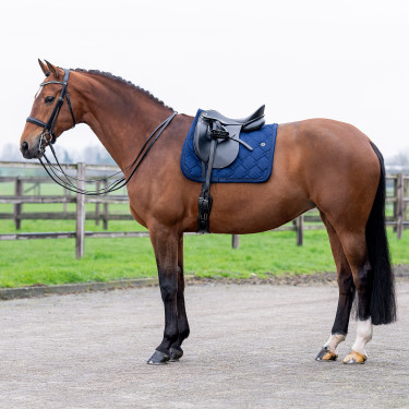 Tapis de selle HV Polo Dana Dressage Tapis de selle HV Polo Dana Dressage