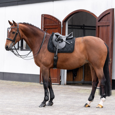 Tapis de selle HV Polo Dana Dressage Tapis de selle HV Polo Dana Dressage