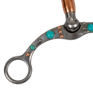 Mors correctionnel avec garniture turquoise Pool's Mors correctionnel avec garniture turquoise Pool's