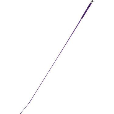 Cravache de dressage Whip & Go Points Cravache de dressage Whip & Go Points