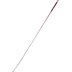 Cravache de dressage Whip & Go Points Cravache de dressage Whip & Go Points