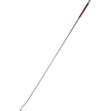 Cravache de dressage Whip & Go Points Cravache de dressage Whip & Go Points