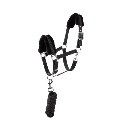 Licol et longe poney Pegasus Horze Noir