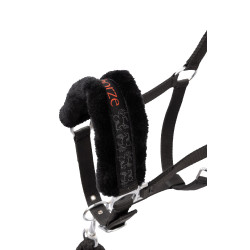 Licol et longe poney Pegasus Horze Noir Licol et longe poney Pegasus Horze Noir