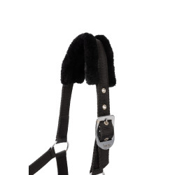 Licol et longe poney Pegasus Horze Noir Licol et longe poney Pegasus Horze Noir