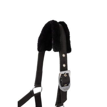 Licol et longe poney Pegasus Horze Licol et longe poney Pegasus Horze