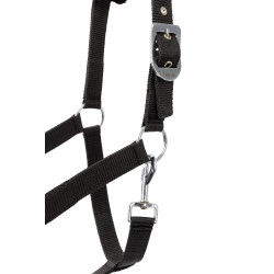 Licol et longe poney Pegasus Horze Noir Licol et longe poney Pegasus Horze Noir