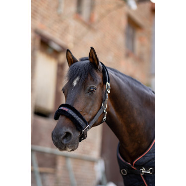 Licol et longe poney Pegasus Horze Licol et longe poney Pegasus Horze