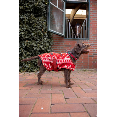 Couverture de Noël chien Horze Couverture de Noël chien Horze
