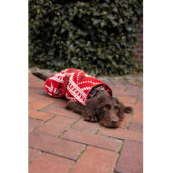 Couverture de Noël chien Horze Rouge
