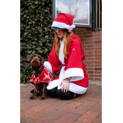Couverture de Noël chien Horze Rouge